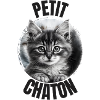 Petit chaton