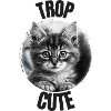 Chaton Trop Cute