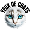Yeux de chats