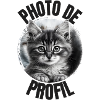 Chaton Photo de profil