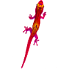 Roter Gecko