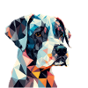 CHIEN