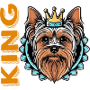Dog Roy Illustration