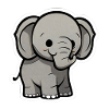 Baby Elephant