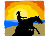 Reining Riding Beach Western Riding