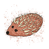 Mettigel Mettbrötchen Hackfleisch Mett