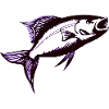 Fishing Fishing Hooks Fishing Anglers