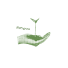 lets grow