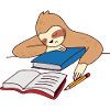 Faultier Studieren Einschlafen Ironisch Student