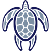 wee turtle