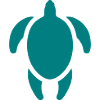 Turtle logo