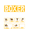 Stubborn Boxer Tricks
