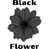 Black boom