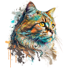 Beau chat