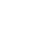 Komodo Dragon Varan Lizard