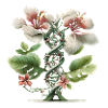 DNA Orchid Gift