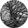 Tree of Life