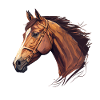 CHEVAL
