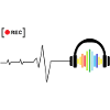 Rainbow beat