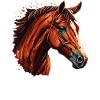 OHNE PFERD OHNE MICH