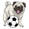 Pug Soccer Player Soccer