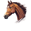 OHNE PFERD OHNE MICH