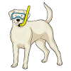 Retriever Diver Snorkel