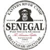 Senegal - Chimpanzees