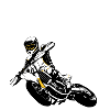 Supermotard