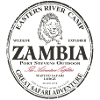 Zambie - Lion