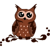all owl brown