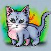 Illusion CAT