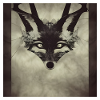 Renard