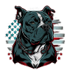 American Bully
