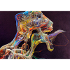 Chromatic Ribbon Portrait