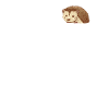 Hedgehog in breast pocket
