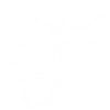 Dragon Blanc