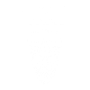 Captain papa skull