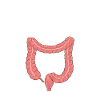 Colon Whisperer, Endoscopy Gastroenterology