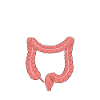 Colon Whisperer, Endoscopy Gastroenterology