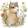 Pretty Alpaca