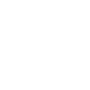 Ant Insect Collector Entomologist