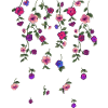 Roses,Tendrils,Flowers, Illustration,Red, Floral