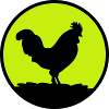 Rooster
