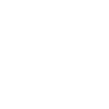Hund Australian Shepherd