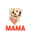 Dog Australian Shepherd Mama