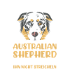 Hund Australian Shepherd