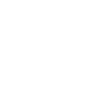 Hund Australian Shepherd