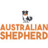 Dog Australian Shepherd