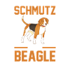Dog Beagle